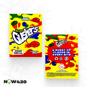 https://now420.shop/wp-content/uploads/2026/01/Gushers-Tropical-300x300.png