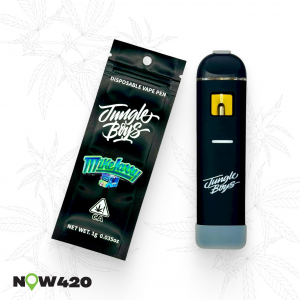 https://now420.shop/wp-content/uploads/2026/01/Jungle-Boys-Mike-Larry-300x300.png