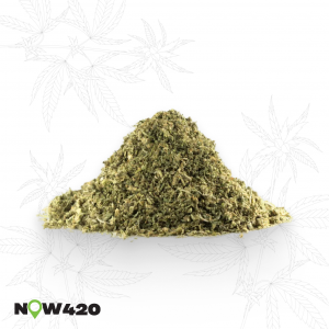 StarDawg Shake