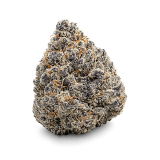 Buds
